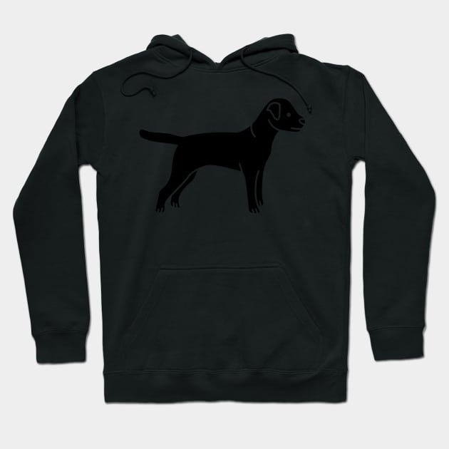 Border Terrier Hoodie by Radradrad